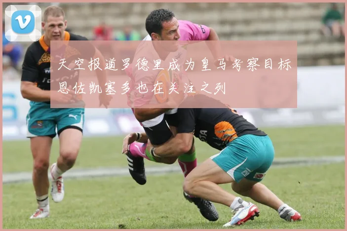 天空报道罗德里成为皇马考察目标恩佐凯塞多也在关注之列